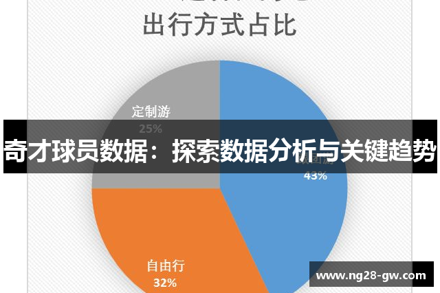 奇才球员数据：探索数据分析与关键趋势