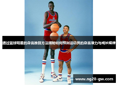 通过篮球明星的身高推算方法揭秘如何预测运动员的身高潜力与成长规律